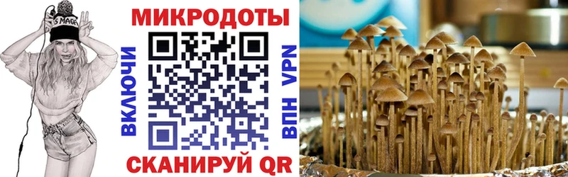 Псилоцибиновые грибы прущие грибы  Шлиссельбург 